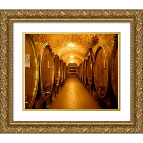 Chianti Classico Gold Ornate Wood Framed Art Print with Double Matting by Lake, Shelley