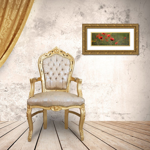 Soft Petals Gold Ornate Wood Framed Art Print with Double Matting by Lake, Shelley
