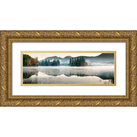 Lefferts Pond Gold Ornate Wood Framed Art Print with Double Matting by Lake, Shelley