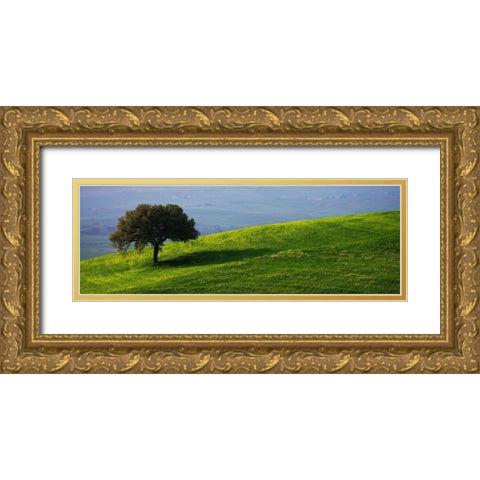 Tuscan Tree Gold Ornate Wood Framed Art Print with Double Matting by Lake, Shelley