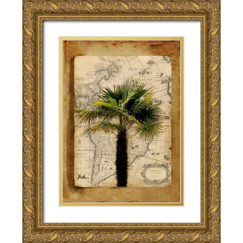 America II Gold Ornate Wood Framed Art Print with Double Matting by Pinto, Patricia