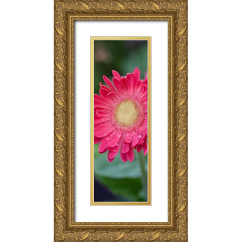 New Vision II Gold Ornate Wood Framed Art Print with Double Matting by Pinto, Patricia