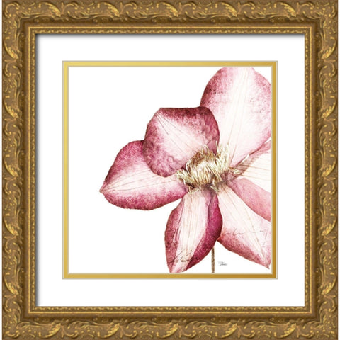 Rouge Plum Flowers I Gold Ornate Wood Framed Art Print with Double Matting by Pinto, Patricia
