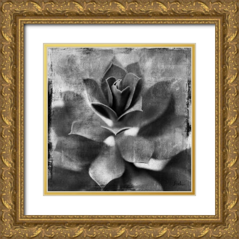 BW Succulent Border I Gold Ornate Wood Framed Art Print with Double Matting by Pinto, Patricia