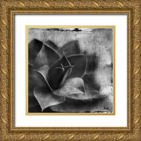 BW Succulent Border II Gold Ornate Wood Framed Art Print with Double Matting by Pinto, Patricia