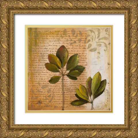 Botanica II Gold Ornate Wood Framed Art Print with Double Matting by Pinto, Patricia
