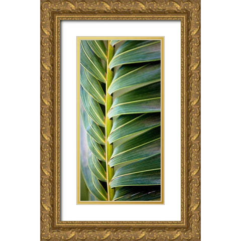 Palma I Gold Ornate Wood Framed Art Print with Double Matting by Bryant, Susan