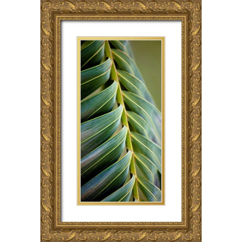 Palma II Gold Ornate Wood Framed Art Print with Double Matting by Bryant, Susan