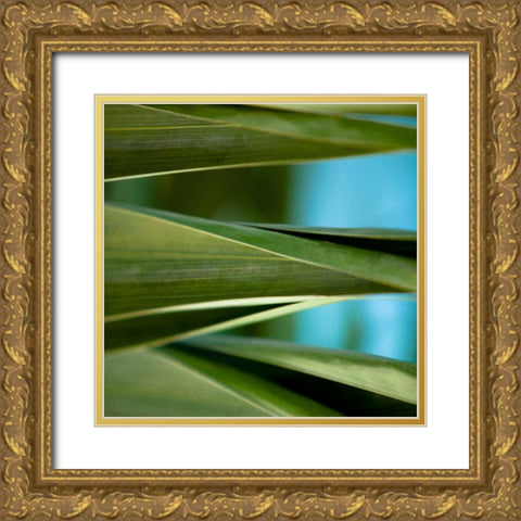 Palma III Gold Ornate Wood Framed Art Print with Double Matting by Bryant, Susan