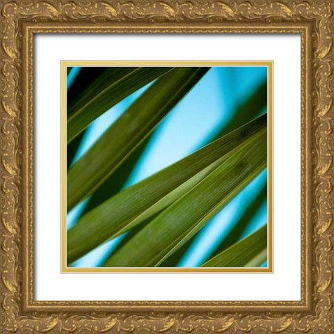 Palma IV Gold Ornate Wood Framed Art Print with Double Matting by Bryant, Susan