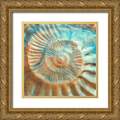 Nautique II Gold Ornate Wood Framed Art Print with Double Matting by Rodriguez, Jairo