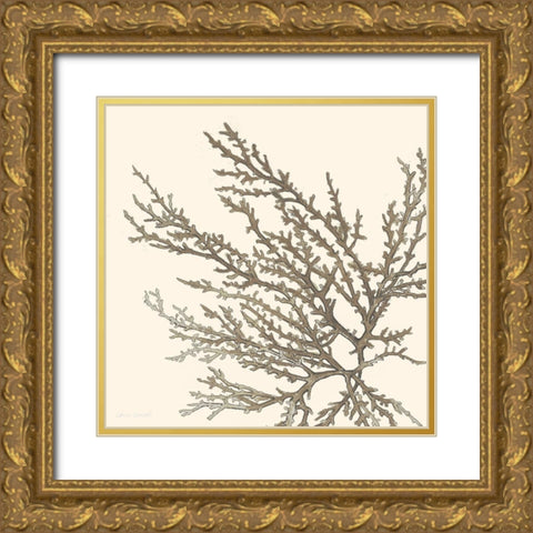 Brown Coastal Coral I Gold Ornate Wood Framed Art Print with Double Matting by Loreth, Lanie