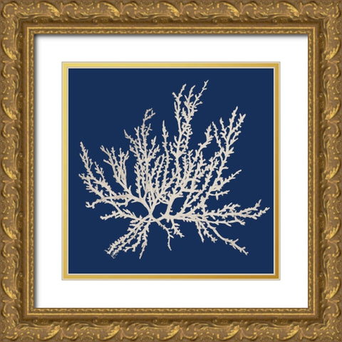 Navy Coral Medley I Gold Ornate Wood Framed Art Print with Double Matting by Loreth, Lanie