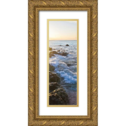 Bimini Coastline I Gold Ornate Wood Framed Art Print with Double Matting by Bryant, Susan
