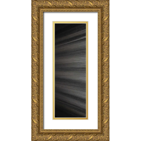 Threads I Gold Ornate Wood Framed Art Print with Double Matting by Rodriguez, Jairo