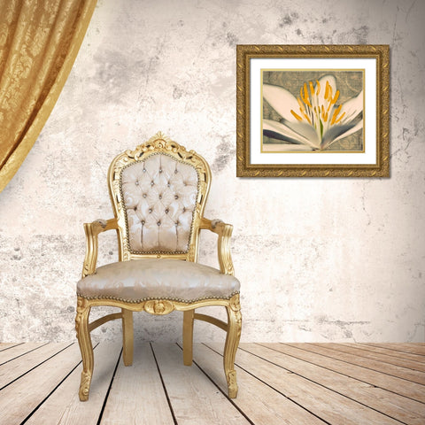 Puccoon on Damask I Gold Ornate Wood Framed Art Print with Double Matting by Mansfield, Kathy