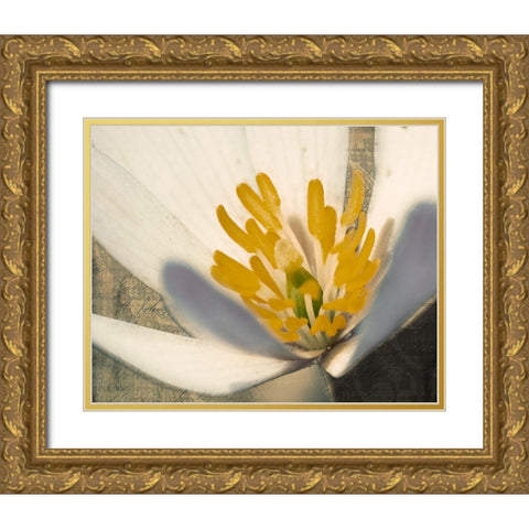 Puccoon on Damask II Gold Ornate Wood Framed Art Print with Double Matting by Mansfield, Kathy