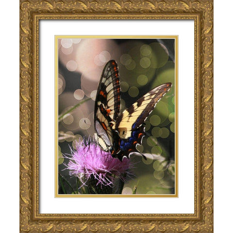 Butterfly Bokeh II Gold Ornate Wood Framed Art Print with Double Matting by Mansfield, Kathy