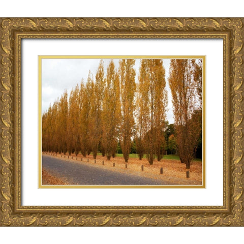 Versailles in Fall I Gold Ornate Wood Framed Art Print with Double Matting by Navas, Emily