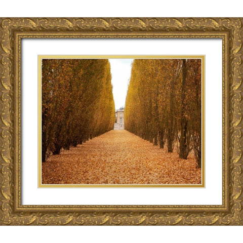 Versailles in Fall II Gold Ornate Wood Framed Art Print with Double Matting by Navas, Emily