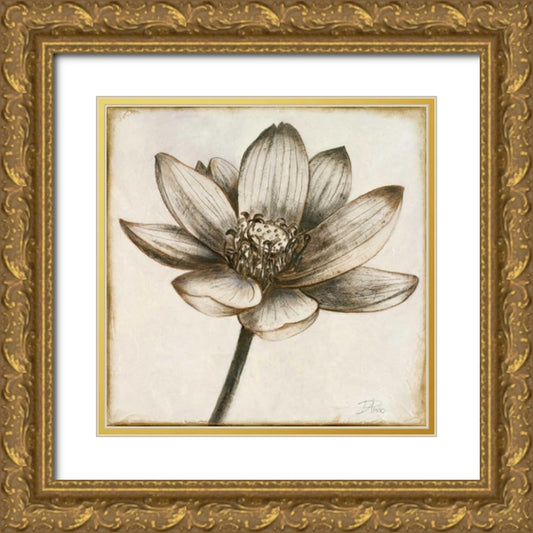 Perspective Image
