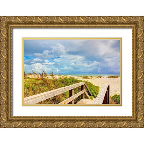 Beach Island I Gold Ornate Wood Framed Art Print with Double Matting by Bonnett, Stede