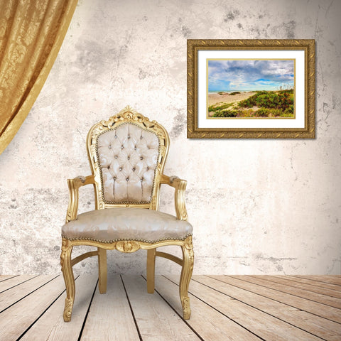 Beach Island II Gold Ornate Wood Framed Art Print with Double Matting by Bonnett, Stede