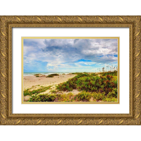 Beach Island II Gold Ornate Wood Framed Art Print with Double Matting by Bonnett, Stede
