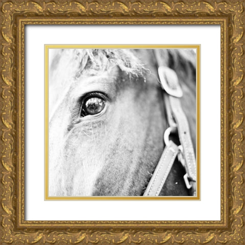 In the Stable I Gold Ornate Wood Framed Art Print with Double Matting by Bryant, Susan