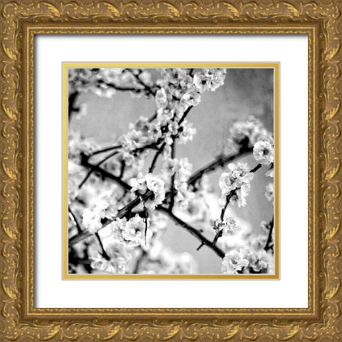 Black and White Blossoms I Gold Ornate Wood Framed Art Print with Double Matting by Bryant, Susan