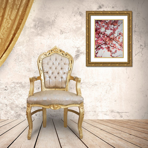 Cherry Blossoms I Gold Ornate Wood Framed Art Print with Double Matting by Bryant, Susan
