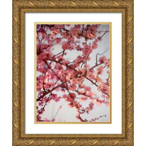 Cherry Blossoms I Gold Ornate Wood Framed Art Print with Double Matting by Bryant, Susan