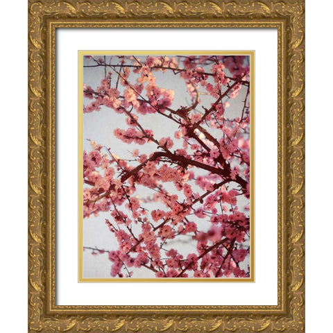 Cherry Blossoms II Gold Ornate Wood Framed Art Print with Double Matting by Bryant, Susan