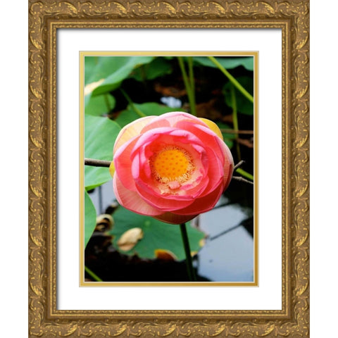 Red Lotus II Gold Ornate Wood Framed Art Print with Double Matting by Rodriguez, Jairo