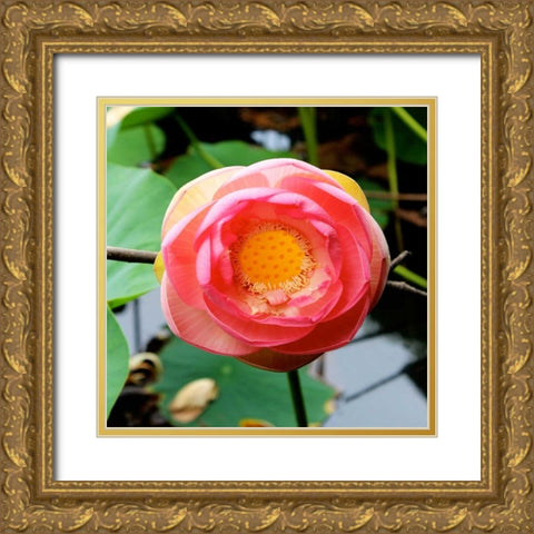 Red Lotus I Gold Ornate Wood Framed Art Print with Double Matting by Rodriguez, Jairo