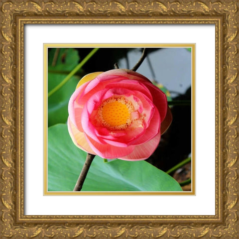 Red Lotus II Gold Ornate Wood Framed Art Print with Double Matting by Rodriguez, Jairo