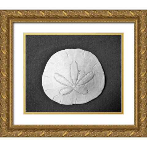 Sand Dollar II Gold Ornate Wood Framed Art Print with Double Matting by Rodriguez, Jairo