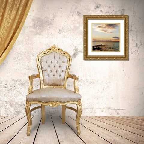 Bimini Seascape II Gold Ornate Wood Framed Art Print with Double Matting by Bryant, Susan