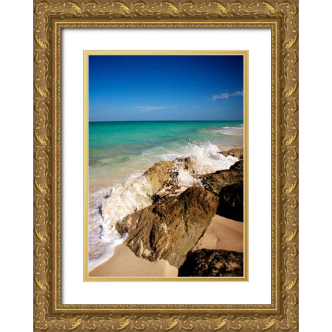 Rising Tide I Gold Ornate Wood Framed Art Print with Double Matting by Bryant, Susan