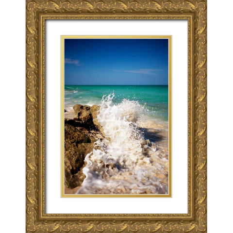 Rising Tide II Gold Ornate Wood Framed Art Print with Double Matting by Bryant, Susan