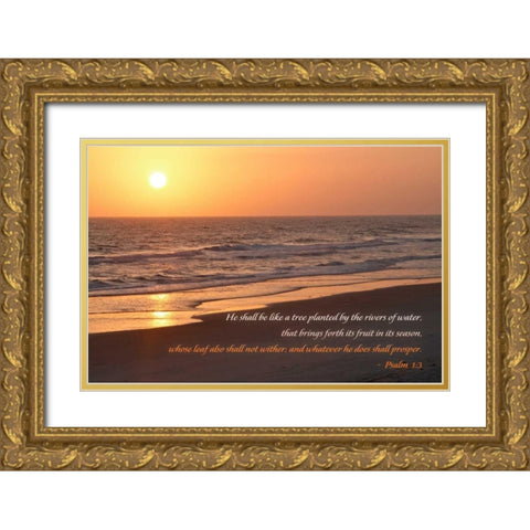 Sunrise II Gold Ornate Wood Framed Art Print with Double Matting by Mansfield, Kathy