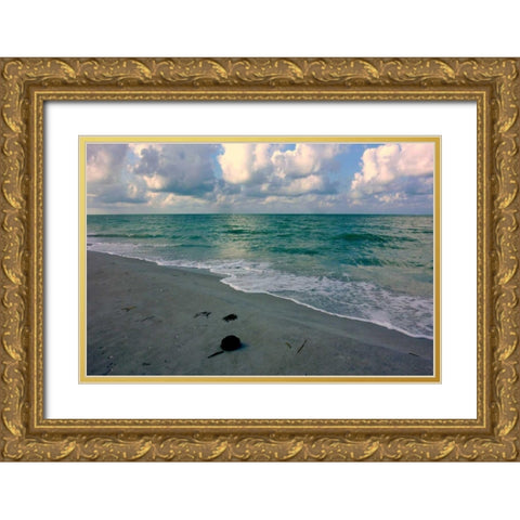 Emerald Sea Gold Ornate Wood Framed Art Print with Double Matting by Peck, Gail