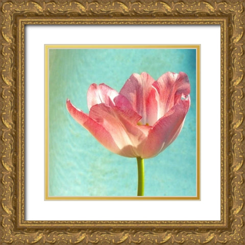 Pink Tulip Gold Ornate Wood Framed Art Print with Double Matting by Peck, Gail