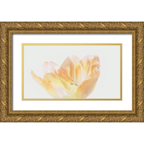 Happy Birthday Gold Ornate Wood Framed Art Print with Double Matting by Peck, Gail