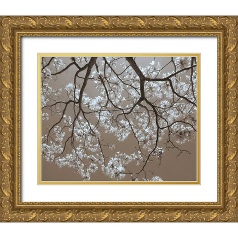 White Blossoms Gold Ornate Wood Framed Art Print with Double Matting by Peck, Gail