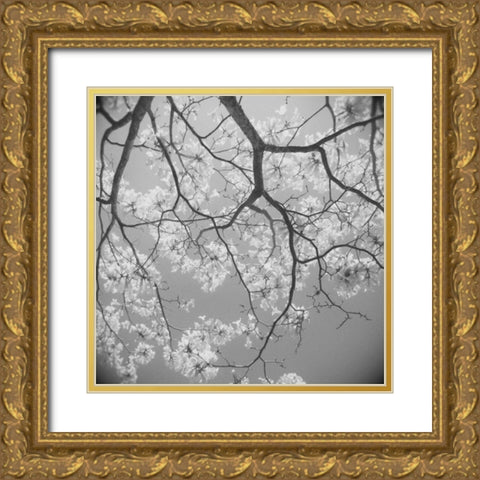 Blossoms on Gray II Gold Ornate Wood Framed Art Print with Double Matting by Peck, Gail