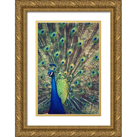 Royally Blue I Gold Ornate Wood Framed Art Print with Double Matting by Peck, Gail