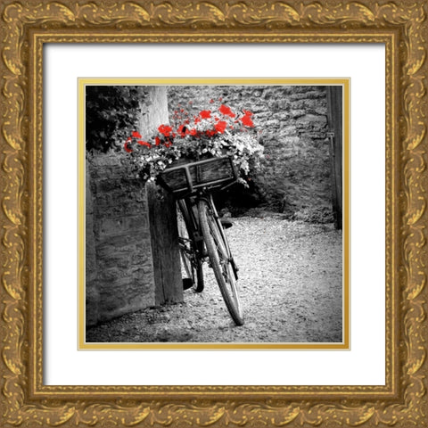 Flower Bike Square Gold Ornate Wood Framed Art Print with Double Matting by Peck, Gail