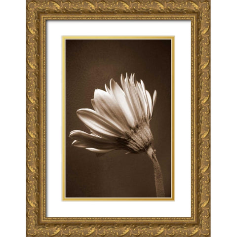 Sepia Flower II Gold Ornate Wood Framed Art Print with Double Matting by Peck, Gail