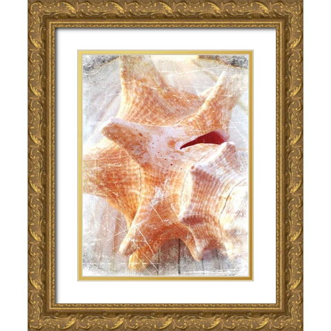 Conch I Gold Ornate Wood Framed Art Print with Double Matting by Saghini, Lisa Hill